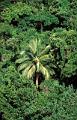 australie queensland 12